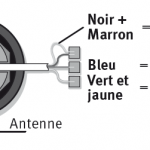 5-brancher-fils