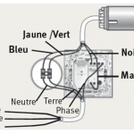 5-rebrancher-noirmarron